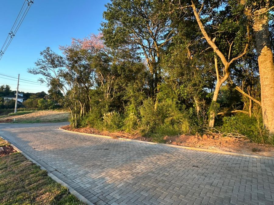 Frente parque das �rvores