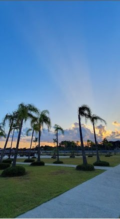 Terreno em Condom�nio - Venda - Sanga Funda - Nova Santa Rita - RS