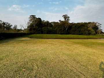 LOTE